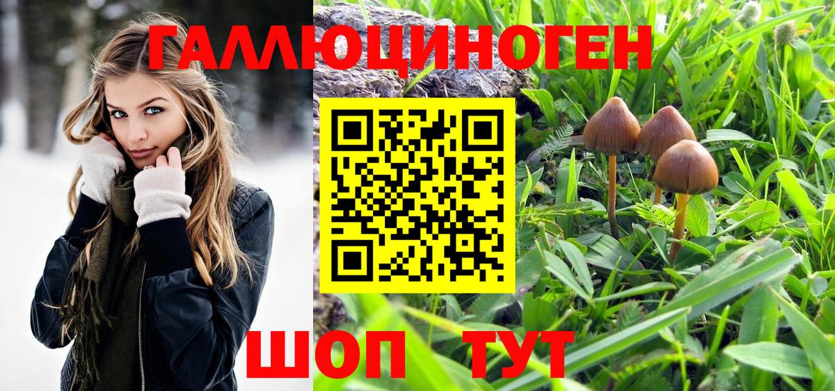 Псилоцибиновые грибы мухоморы  Вход с VPN  Псилоцибиновые грибы Cubensis  Ейск 